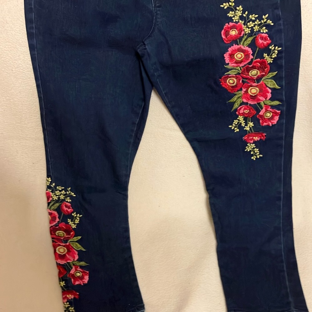 Red and Blue Skinny Jeans with Floral Embroidery
